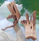 Set Of 2  Driftwood Manzanita Aquascape Aquarium Terrarium  Bonsai 14   10   14  