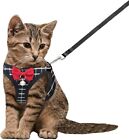 Escape-proof Cat Harness And Leash Set     Breathable Adjustable Mesh Pet Harness 