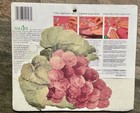 Wallies Wallpaper Cutouts   Tuscan Grapes   25 In Package    12146