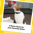 Temptations Mixups Crunchy And Soft Cat Treats Catnip Fever Flavor  16 Oz  Tub