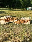 Adidas Youth Football Cleats - Leopard Print With Teal Stripes Multi-color