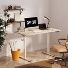 Flexispot Home Office Height Adjustable Standing Desk Computer Desk With Hooks