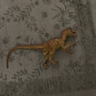 Safari Ltd Velociraptor Dinosaur Figure Prehistoric Collectible 1993 11 