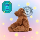 Jellycat Rumpletum Bear     Soft Plush Toy Brown Bear Retired Stuffed Lovey     Nwt