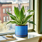 Ceramic Planter 8 Inch  Ceramic Plant Pots With Drainage Hole And Saucer  Indoor