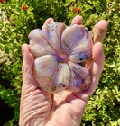 Pink Opal Carved Flower Cabochons   2 