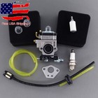 Carburetor Tune-up Kit For Earthquake E43 E43wc E43ce Auger Mc43e Mc43ce 300486