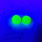 Antique C 1800s Vaseline African Trade Beads Uranium Glass 2pcs