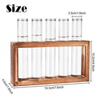 Tigvio Desktop Glass Plant Propagation Station  5 Tubes 