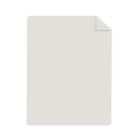 Wausau Exact Index Cardstock 110 Lb 8 5 X 11 Inch Pastel Gray 250 Sheets 48598