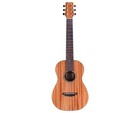 Cordoba Mini Ii Mh Mahogany 22 7 8    Scale Nylon String Guitar
