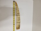 Vintage Scrimshaw Tusk 14 The Ship Regulus Captain James Hoad Resin Reproduction