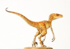 Dino Dream The Tiger Plunderer Velociraptor Dinosaur Statue Model Display