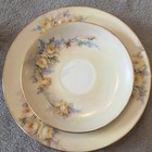 Roses Noritake Japan Teacup  Saucer  And Plate Set With Gold Trim
