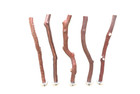 Manzanita Bird Perches Five Pack  All- Natural Oven Cured   Very Sweet Deal