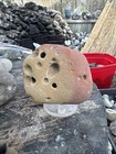 Rocks For Sale Multi Hole Hag Stone Approx1 Lb