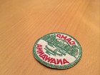 Vintage Original Boy Scouts Bsa Camp Anawanna Patch