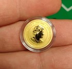 2024 Australia 1 10 Oz Gold Colorized Lunar Blue Dragon Bu In Capsule 