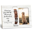 Xnxldylh Dog Cat Pet Memorial Picture Frame With Collar Holder  Pet Dog Memorial