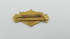 Royal Arch Mason Pin Badge Illinois 75th Anniv Ribbon Holder 1924 R a m  Vintage