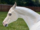 In Dreams - Arabian Mare Bust By Sarah Minkiewicz Horse Resin Artist Sculpture