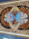 Blue Morpho Vintage Iridescent Real Butterfly Wings Framed Art Work   