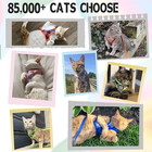 Supet Cat Harness And Leash Set Stylish Escape Proof Cat Vest Harness