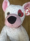 Vintage Ty Beanie Buddy Cupid The Puppy Dog Collar Tag 2003 Stuffed Animal Plush