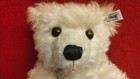 Steiff Club 2002 Pb 28 Teddy Bear 14 Inch Antique White Mohair Ean 420290