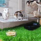 Rat Bed  Cage Platform   Metal Ferret Hammock With Mat  Chew Proof Hanging Sq   
