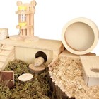 Silent Wooden Exercise Wheel Toy Hamster Hedgehog   Small Pets 12-inch Size Pet