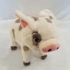 Disney Store Authentic Moana Pua Pig Plush Toy Doll 9   Stuffed Animal 