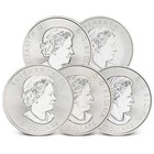 1 5 Oz Silver Coin  varied  Any Mint  Random Year