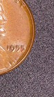 Rare 1955 Penny Error Double-struck Date    5      l    In Liberty    n   on Rim  dbl Die 