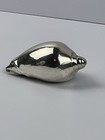 Sterling Silver Plated Real Seashell     Coastal Decor     Elegant Polished Finish
