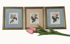 Botanical Rose Wall Art Set Of 3 Vintage Silk Prints Gold Framed Decor