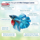 Sungrow 50 Pcs Catappa Indian Almond Leaves For Betta Fish Tank Aquarium  2    Wat