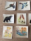 Kellogg s Pep Cereal Premium Water Transfers Lot Of 16 1940 s Series 2
