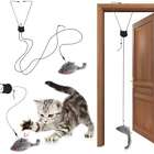Retractable Hanging Interactive Cat Teaser Toy Cats Kitten Play Chase Exercise