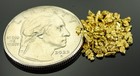 Alaskan Yukon Gold Rush Nuggets 14 Mesh 2 Grams Of Fines