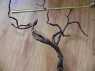 Large Red Twisty Manzanita Branch 40  x 28  x 2   Bird Perch Aquarium Reptile