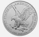 2025 Mint State Uncirculated American Silver Eagle With Eagle Privy
