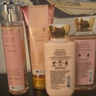 Bath   Body Works Triple Berry Martini 4-piece Set Mist  Lotion  Cream  Gel
