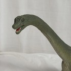2016 Schleich Large Dinosaur Brachiosaurus  D-73527 Retired