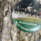Vintage World Famous Clydesdales Advertising Pin Button Pinback Budweiser
