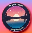 1 Year Sobriety Coin Aa Chip Medallion Alcoholics Anonymous One Year Sober