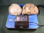 Rough Chalcedony Jasper Agate Lot  Natural Lapidary Rocks  7 Lbs  2 Oz   418