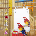 Bird Mirror With Rope Perch  Parrot Cage Toys With Wind Bell  Pet Bird Cage Perc
