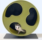 Wide Silent Exercise Wheel     Green Running Wheel For Small Pets   Roden