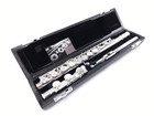 Di Zhao Dz-301 Open Hole Flute Silver Riser Premium Beginner Student Flute New